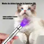 Mini Pointeur Laser Rouge Chat application Pas Cher – Image 3