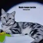 Mini Pointeur Laser Rouge Chat application Pas Cher – Image 4