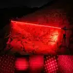 Achat 1000mW Laser Pointeur Rouge Puissant Professionnel